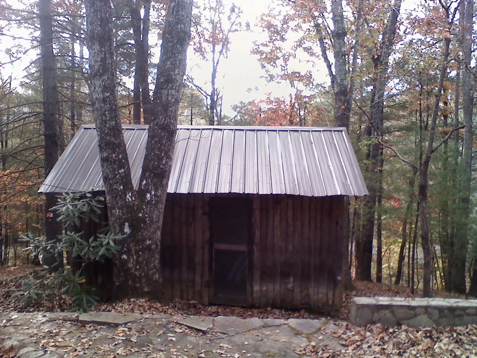 New metal gable roof on a small log shed among the trees in Warren